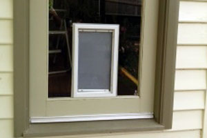 Dog door installed at the base of a timber framed glass door.